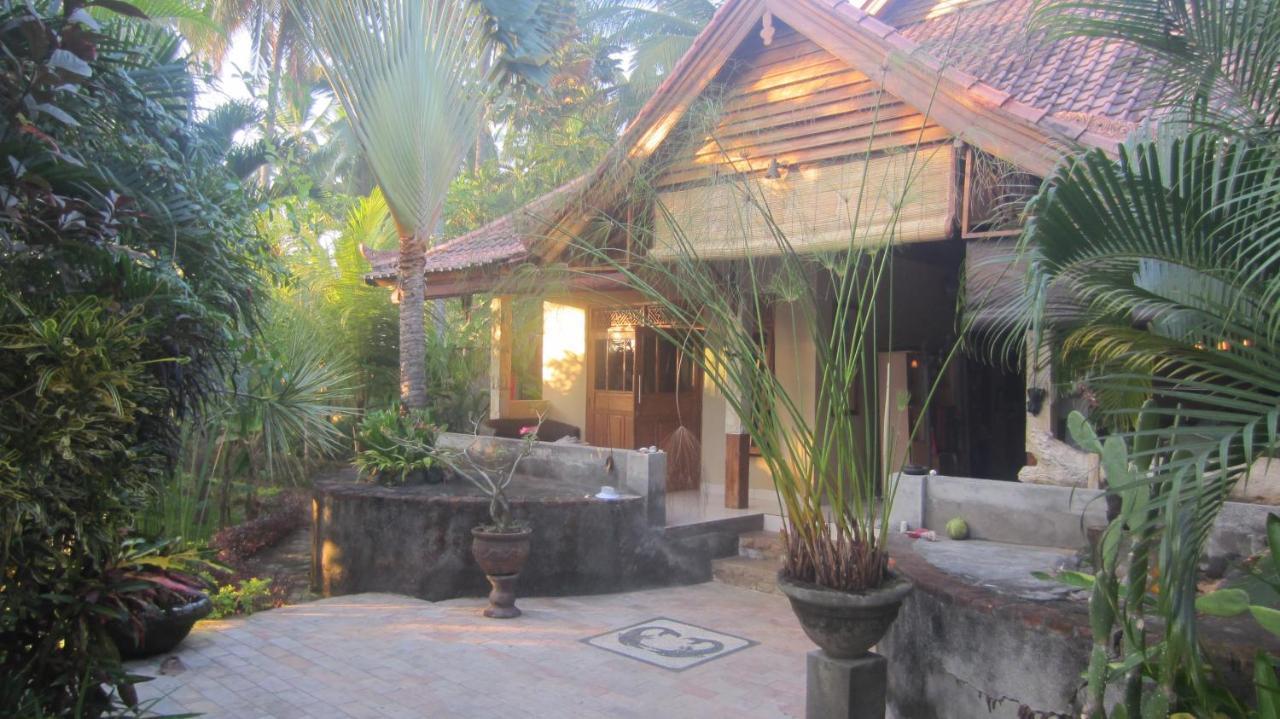 Villa Selina Tejakula Exterior foto