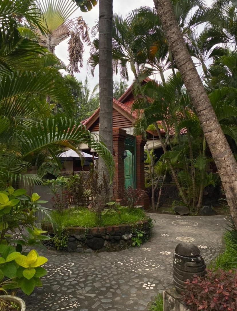 Villa Selina Tejakula Exterior foto